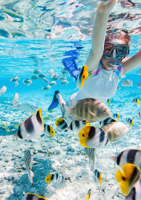 Bahamas snorkeling 
